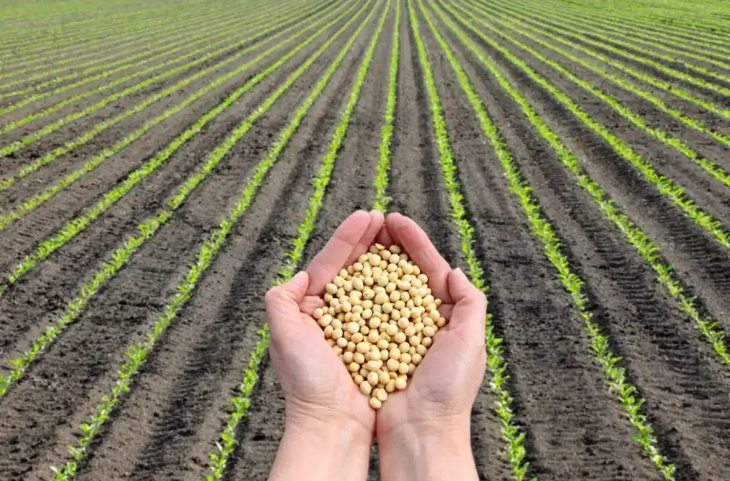 Formación Complementaria en Agricultura 3